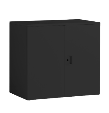 2 Door Low Cupboard